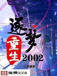 重生逐梦2002封面
