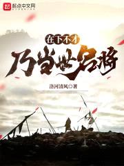 在下不才，乃当世名将封面