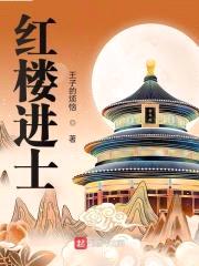 红楼进士封面