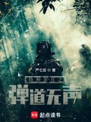 特种岁月之弹道无声封面