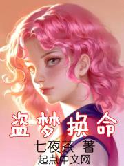 盗梦换命封面