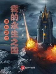塔防游戏：我的永生之国封面