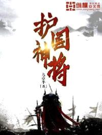 护国神将封面