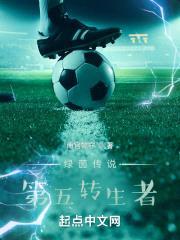 一切从转生那只足球队开始封面