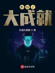 影综之大成就封面