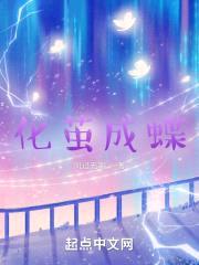 化茧成蝶封面