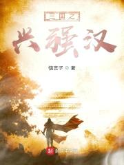 三国之兴强汉封面