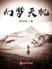 幻梦天机封面