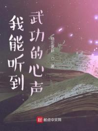 我能听到武功的心声封面