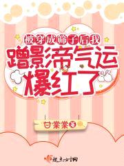被穿成筛子后我蹭影帝气运爆红了封面