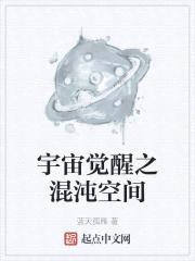 宇宙觉醒之混沌空间封面