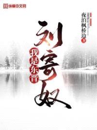 我是东晋刘寄奴封面