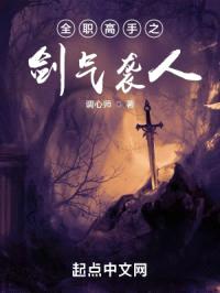 全职高手之剑气袭人封面