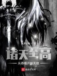 吞噬星空之大道主宰封面