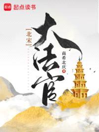 北宋大法官封面