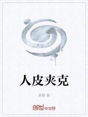 海贼之合体时代封面