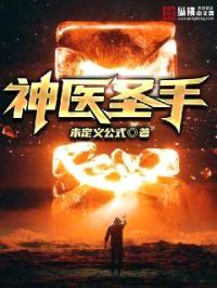 神医圣手封面