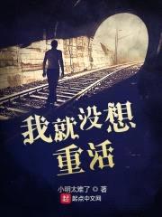 我就没想重活封面