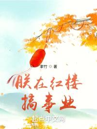 朕在红楼搞事业封面