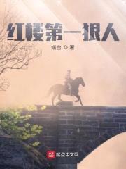 红楼第一狠人封面