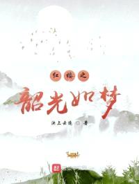 红楼之韶光如梦封面