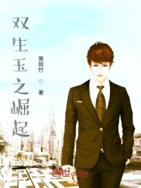 双生玉之崛起封面