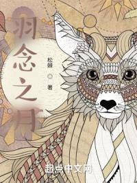 羽念之月封面