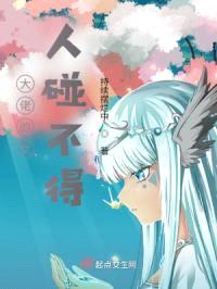 大佬的女人碰不得封面