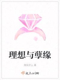 理想与孽缘封面