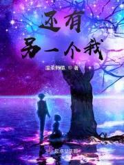 还有另一个我封面