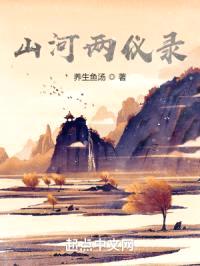 山河两仪录封面