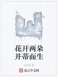 花开两朵并蒂而生封面