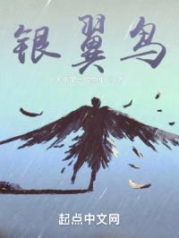 银翼鸟封面