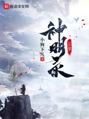三寸神明录封面