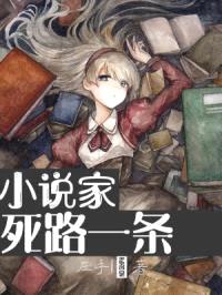 小说家死路一条封面