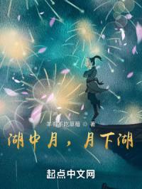 湖中月，月下湖封面