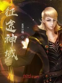 征途神域封面