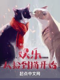 娱乐从捡到猫开始封面