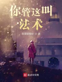 你管这叫法术？！封面