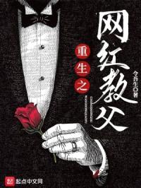 重生之网红教父封面