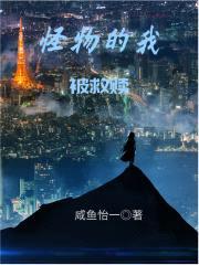 黑暗逐光者封面