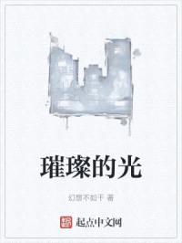 璀璨的光封面
