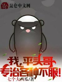 我，平头哥，专治各种不服！封面