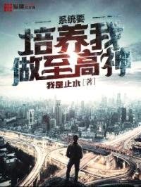 系统要培养我做至高神封面