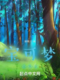 宝可梦战争史封面