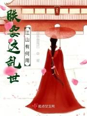 朕要这乱世江山有何用封面