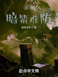 盗墓：暗箭难防封面