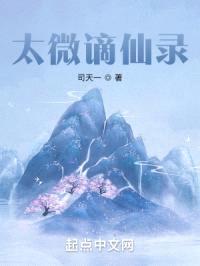 太微谪仙录封面