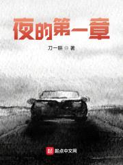 夜的第一章封面