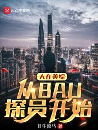 人在美综，从BAU探员开始封面